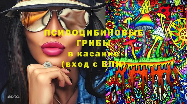 хмурый Богородицк
